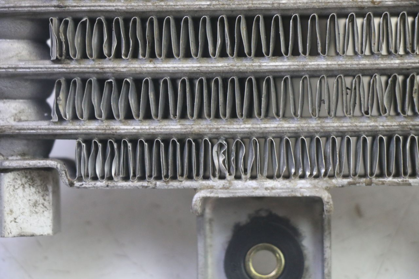 photo de RADIATORE OLIO DAELIM VJ ROADWIN FI 125 (2008 - 2017) - Ricambio usato controllato