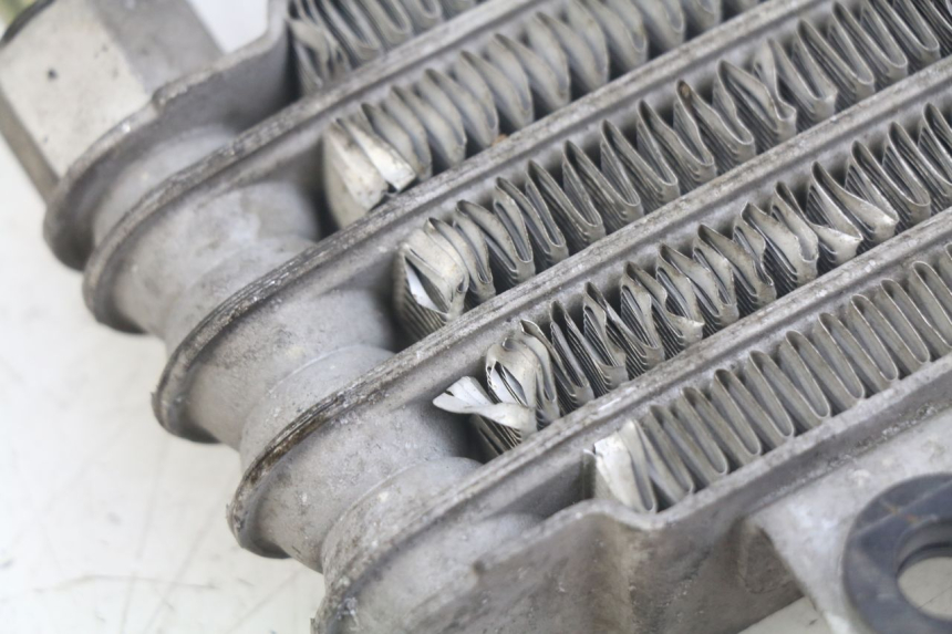 photo de RADIATORE OLIO DAELIM VL DAYSTAR 125 (2000 - 2011) - Primo piano tecnico