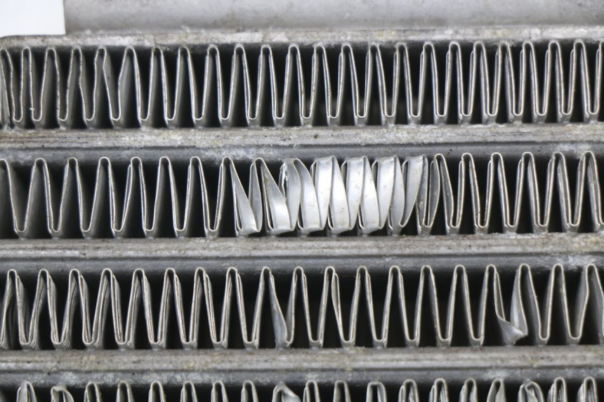 photo de RADIATORE OLIO DAELIM VL DAYSTAR 125 (2000 - 2011) - Primo piano tecnico