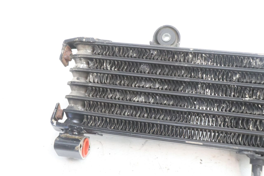 photo de RADIATORE OLIO YAMAHA XJR 1300 (1998 - 2002) - Dettaglio del componente