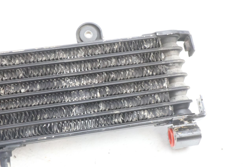 photo de RADIATORE OLIO YAMAHA XJR 1300 (1998 - 2002) - Altra angolazione