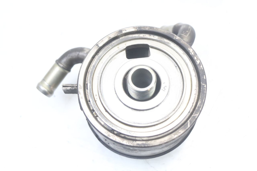 photo de RADIATORE OLIO YAMAHA FZ1 FAZER 1000 (2007 - 2009) - Primo piano tecnico