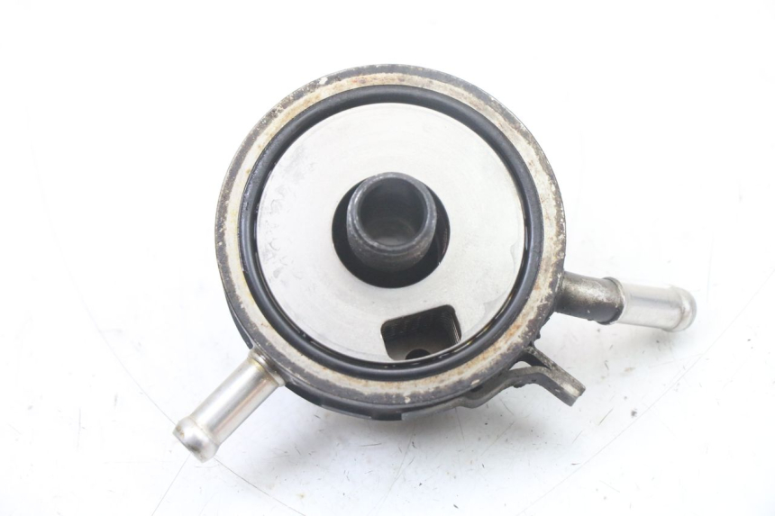 photo de RADIATORE OLIO YAMAHA FZS FAZER 600 (2001 - 2003) - Zoom sullo stato d'uso