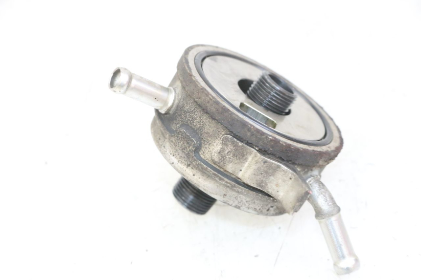 photo de RADIATORE OLIO YAMAHA FZS FAZER 600 (2001 - 2003) - Dettaglio del componente