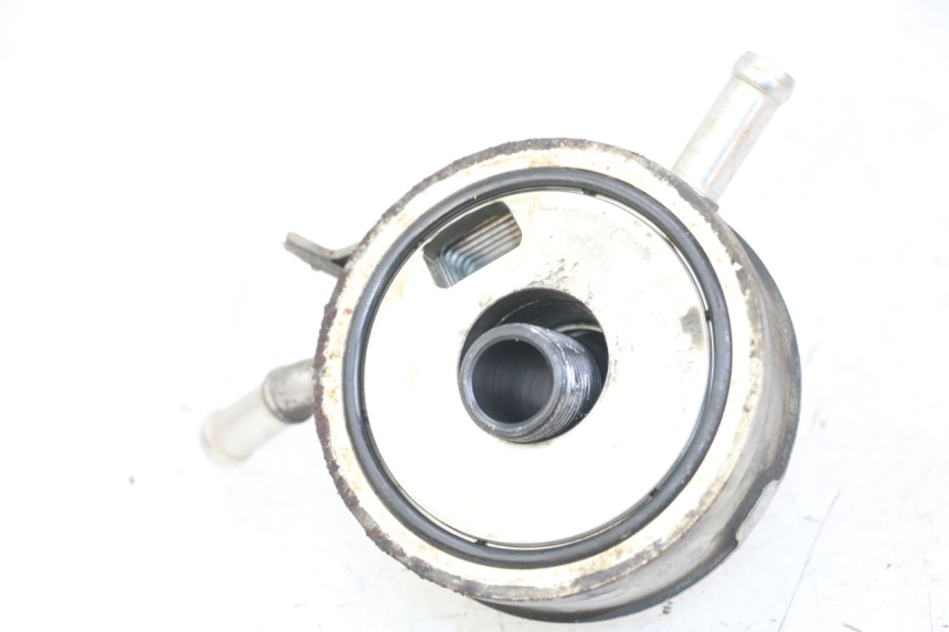 photo de RADIATORE OLIO YAMAHA FZS FAZER 600 (2001 - 2003) - Zoom sullo stato d'uso