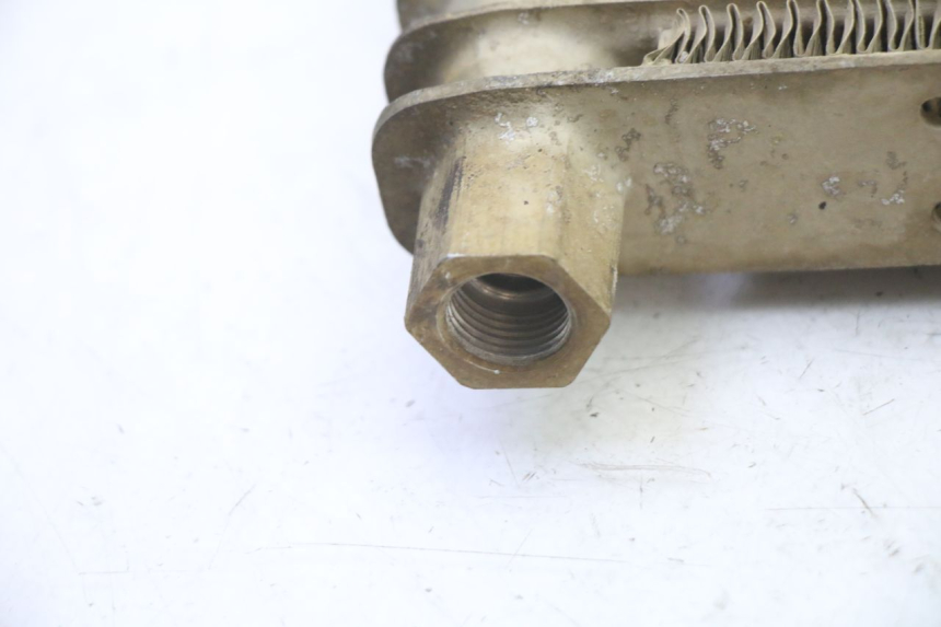 photo de RADIATORE OLIO YAMAHA YFM BRUIN 350 (2003 - 2009) - Zoom sullo stato d'uso