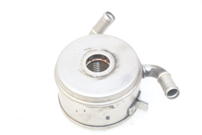 photo de RADIATORE OLIO YAMAHA YZF R1 1000 (2007 - 2008) - Dettaglio del componente