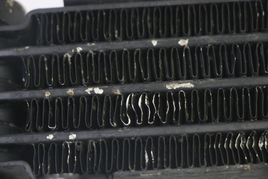 photo de RADIATORE OLIO KYMCO ZING 125 (1997 - 2003) - Dettagli dei punti di fissaggio