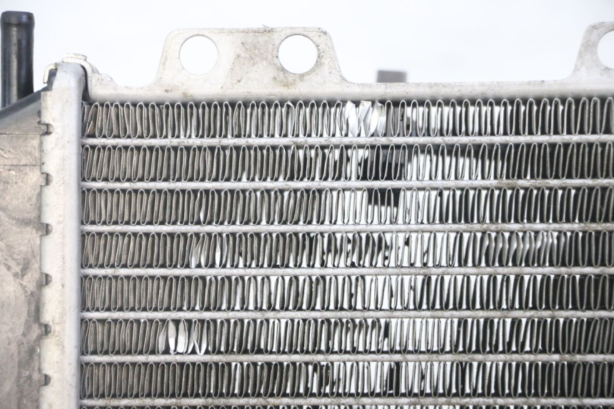 photo de RADIATORE PEUGEOT JET FORCE CARBU 50 (2003 - 2016) - Foto prodotto supplementare