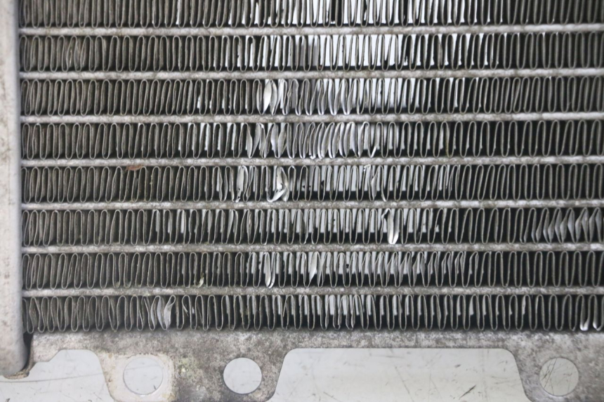 photo de RADIATORE PEUGEOT JET FORCE CARBU 50 (2003 - 2016) - Ispezione visiva dettagliata