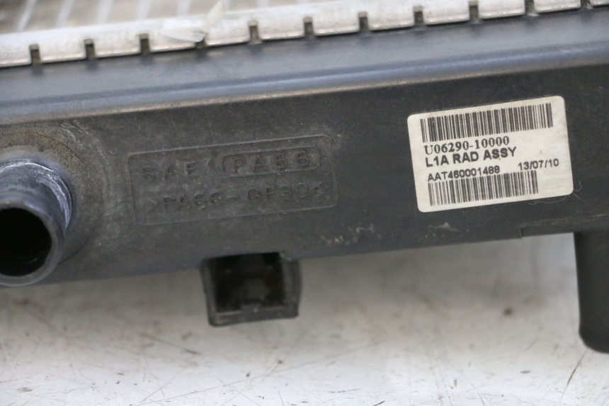 photo de RADIATORE SYM JOYMAX 125 (2010 - 2017) - Dettaglio del componente