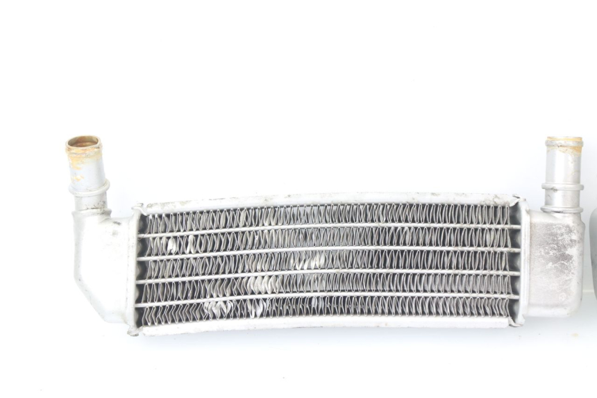 photo de RADIATORE PEUGEOT LUDIX BLASTER 50 (2006 - 2014) - Altra vista dell'articolo