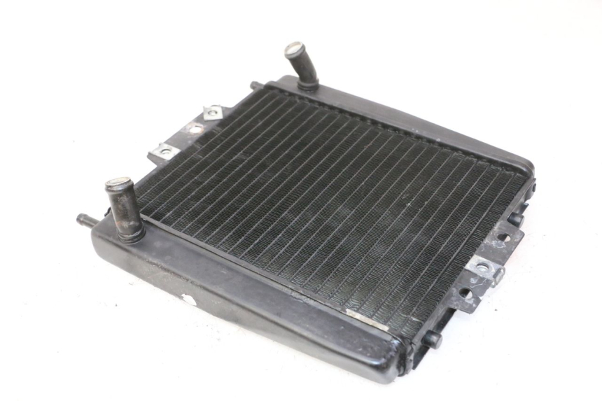 photo de RADIATORE PIAGGIO MP3 RL 250 (2006 - 2010) - Dettagli dei punti di fissaggio