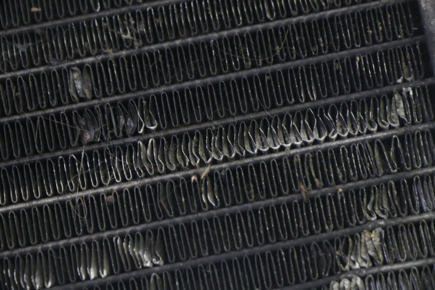 photo de RADIATORE PIAGGIO MP3 125 (2006 - 2014) - Primo piano tecnico