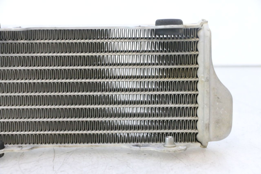 photo de RADIATORE RIEJU MRT PRO SUPERMOTARD 50 (2007 - 2018) - Vista d'insieme del prodotto