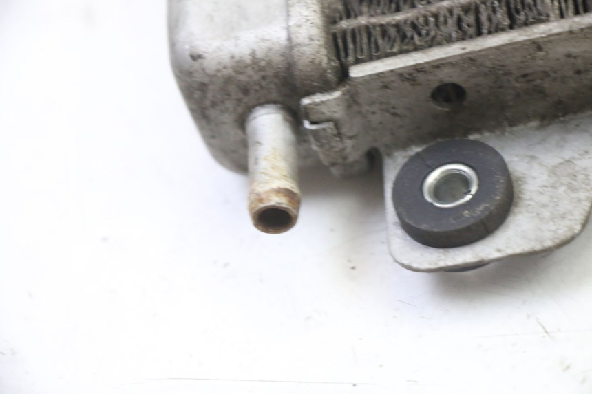 photo de RADIATORE GILERA NEXUS 125 (2009 - 2013) - Primo piano ad alta risoluzione