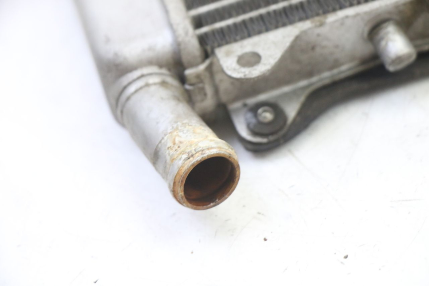 photo de RADIATORE GILERA NEXUS 125 (2009 - 2013) - Vista d'insieme del prodotto