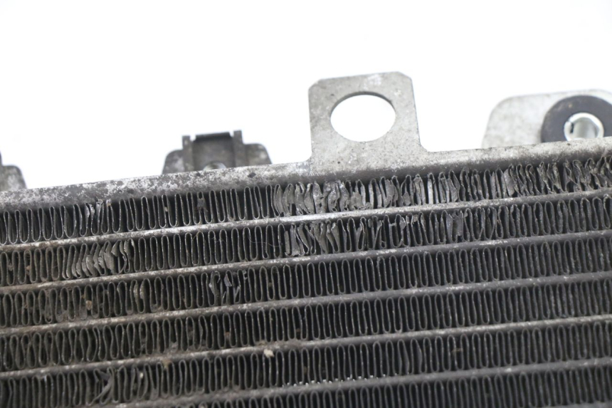 photo de RADIATORE GILERA NEXUS 125 (2009 - 2013) - Ricambio usato controllato