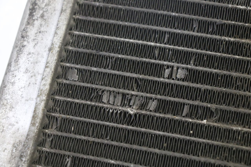 photo de RADIATORE GILERA NEXUS 125 (2009 - 2013) - Marcature e riferimenti originali