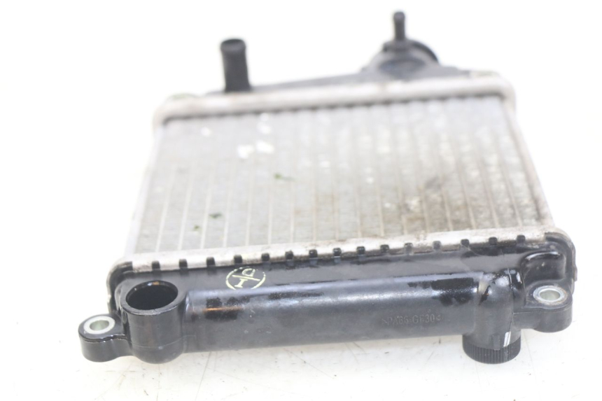 photo de RADIATORE HONDA NHX LEAD 110 (2008 - 2010) - Primo piano tecnico