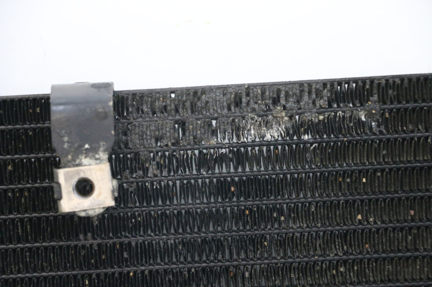 photo de RADIATORE HONDA NTV DEAUVILLE 650 (1998 - 2001) - Zoom sui componenti