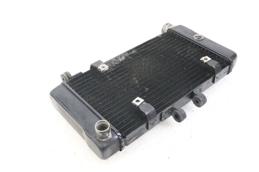 photo de RADIATORE HONDA NTV DEAUVILLE 650 (1998 - 2001) - Vista d'insieme del prodotto