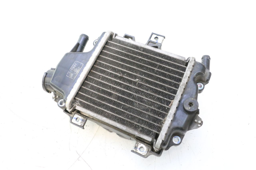 photo de RADIATORE HONDA PCX (JF28) 125 (2009 - 2011) - Vista principale
