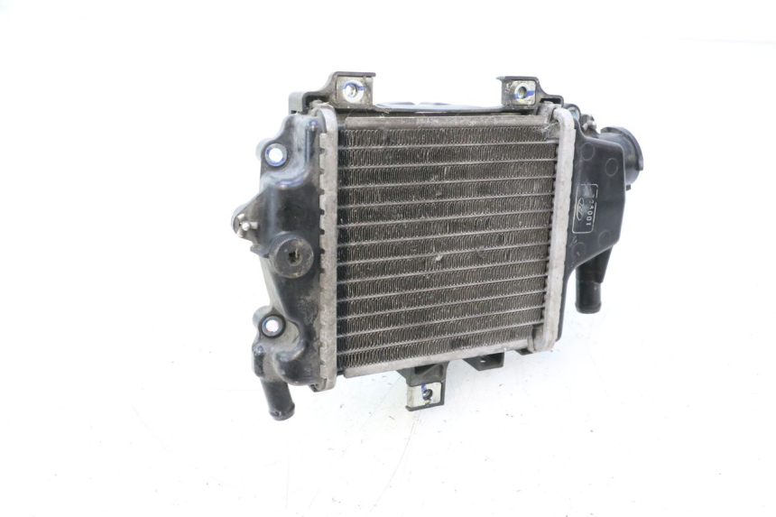 photo de RADIATORE HONDA PCX (JF28) 125 (2009 - 2011) - Altra angolazione