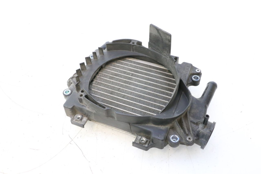 photo de RADIATORE HONDA PCX (JF28) 125 (2009 - 2011) - Primo piano tecnico