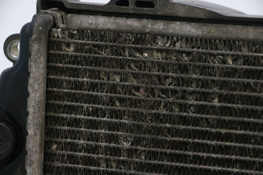 photo de RADIATORE HONDA PCX (JF57/JF64) 125 (2014 - 2018) - Caratteristiche distintive