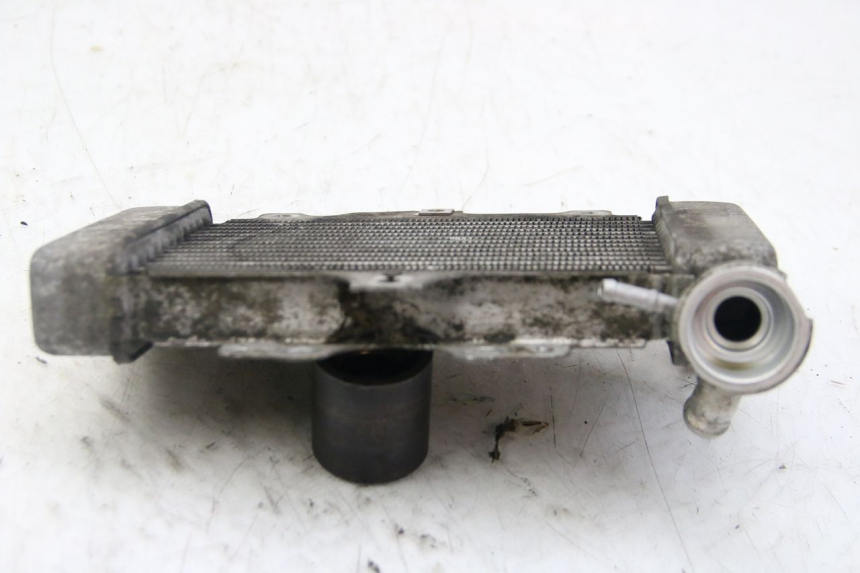 photo de RADIATORE HONDA PES PS I 125 (2006 - 2012) - Altra angolazione