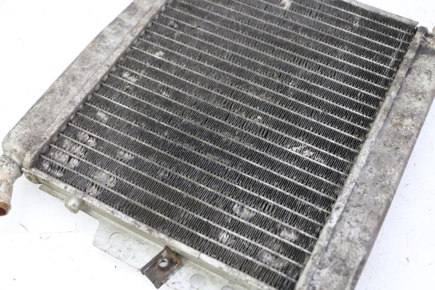 photo de RADIATORE PIAGGIO X8 125 (2004 - 2007) - Dettaglio del componente