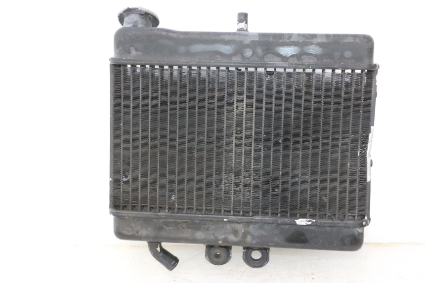 photo de RADIATORE MZ RT 125 (2000 - 2008) - Caratteristiche distintive