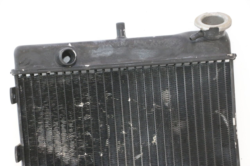 photo de RADIATORE MZ RT 125 (2000 - 2008) - Zoom sui componenti