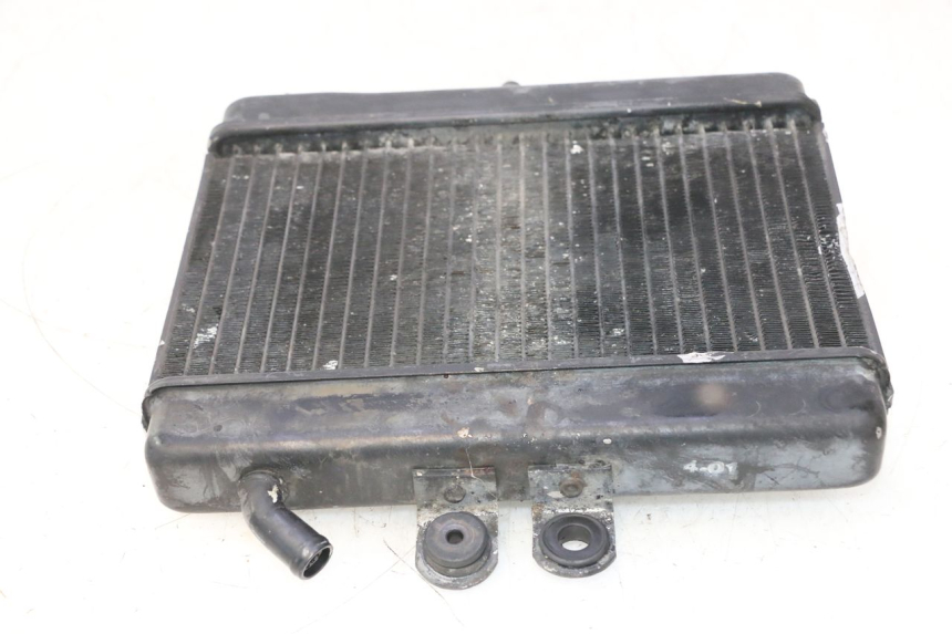 photo de RADIATORE MZ RT 125 (2000 - 2008) - Primo piano tecnico