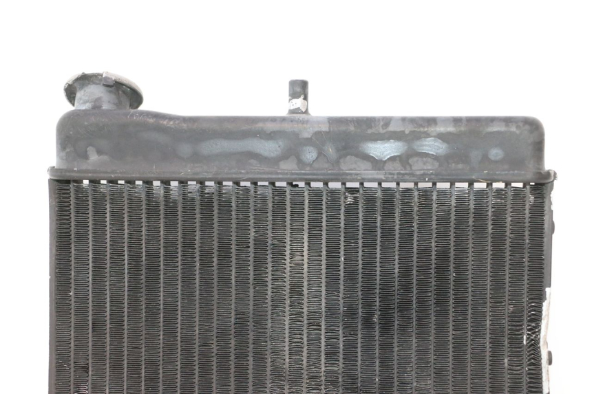 photo de RADIATORE MZ RT 125 (2000 - 2008) - Marcature e riferimenti originali