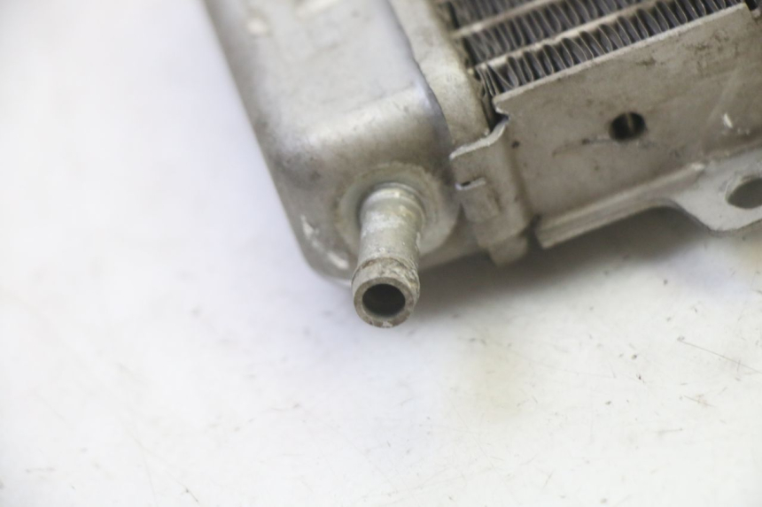 photo de RADIATORE GILERA RUNNER SP 50 (2009 - 2017) - Vista d'insieme del prodotto