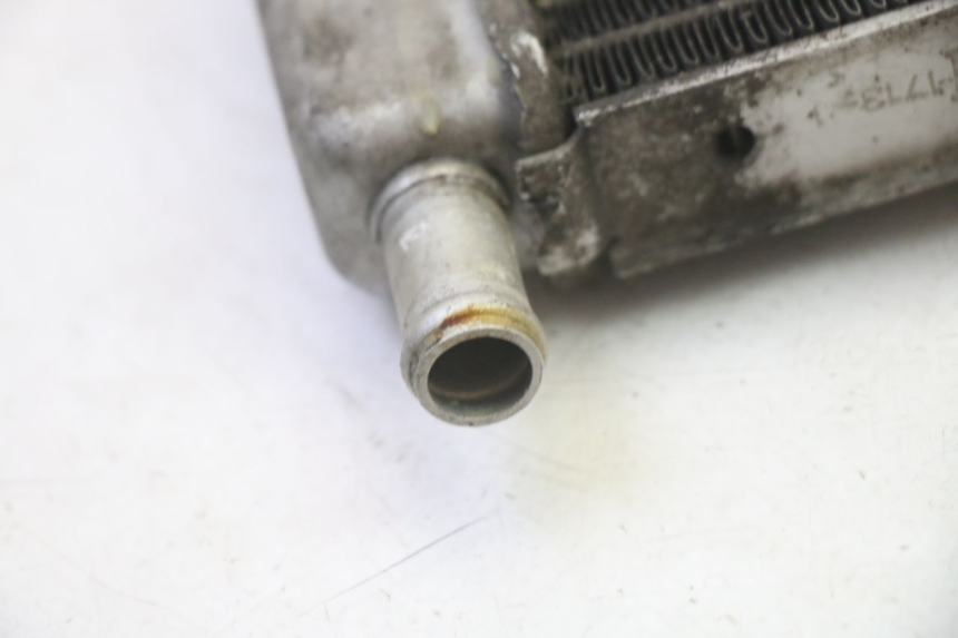 photo de RADIATORE GILERA RUNNER SP 50 (2009 - 2017) - Ricambio usato controllato