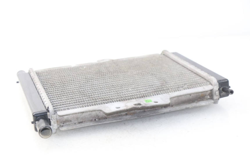 photo de RADIATORE PEUGEOT SATELIS 300 (2012 - 2015) - Primo piano tecnico