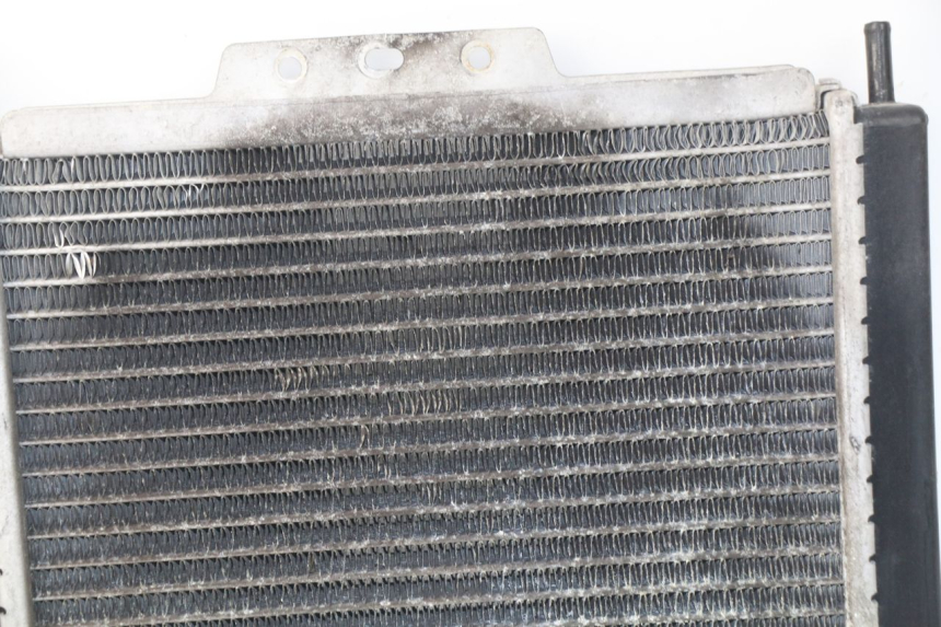 photo de RADIATORE PEUGEOT SATELIS 300 (2012 - 2015) - Vista d'insieme del prodotto