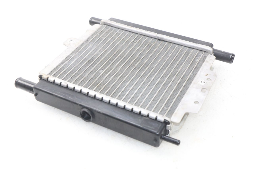 photo de RADIATORE PEUGEOT SATELIS 125 (2013 - 2018) - Zoom sullo stato d'uso