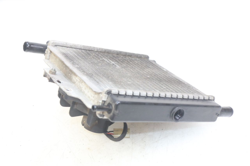 photo de RADIATORE PEUGEOT SATELIS 125 (2010 - 2012) - Dettaglio del componente