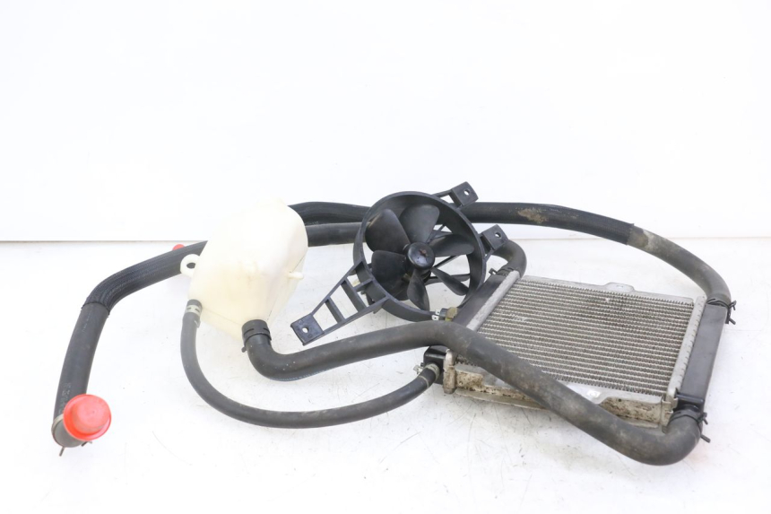 photo de RADIATORE PEUGEOT SATELIS 125 (2010 - 2012) - Dettaglio del componente