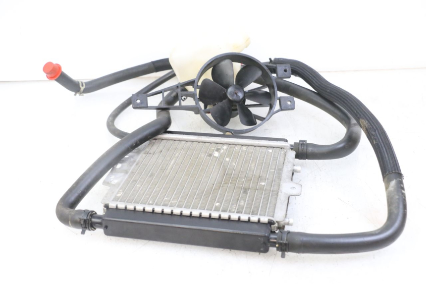 photo de RADIATORE PEUGEOT SATELIS 125 (2010 - 2012) - Zoom sullo stato d'uso