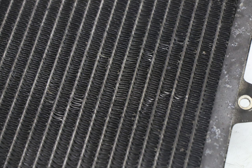 photo de RADIATORE PEUGEOT SATELIS 125 (2013 - 2018) - Dettaglio del componente