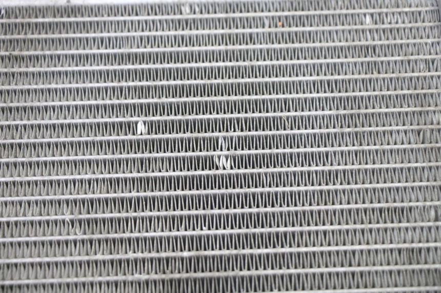 photo de RADIATORE PEUGEOT SATELIS 250 (2006 - 2012) - Primo piano tecnico