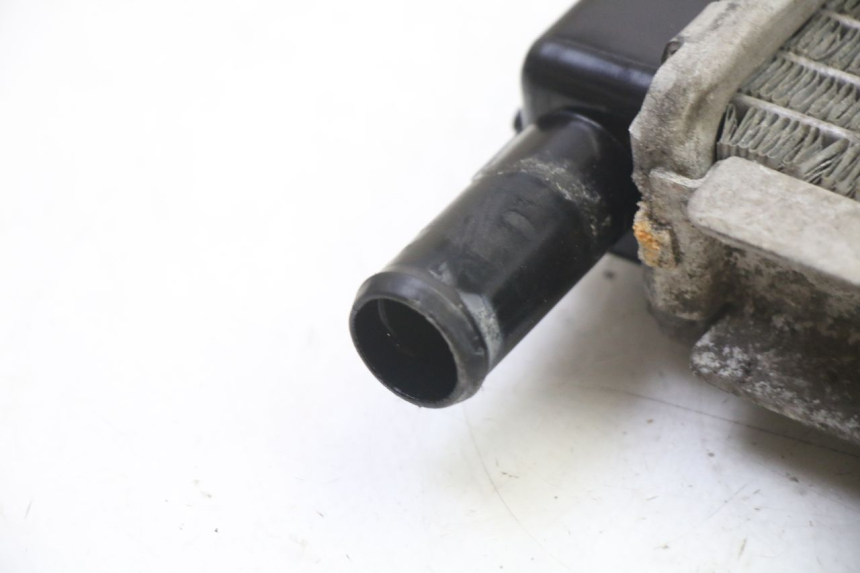 photo de RADIATORE PEUGEOT SATELIS 250 (2006 - 2012) - Ricambio usato controllato