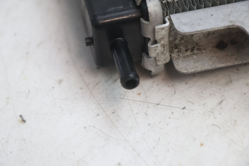 photo de RADIATORE PEUGEOT SATELIS 125 (2013 - 2018) - Caratteristiche distintive