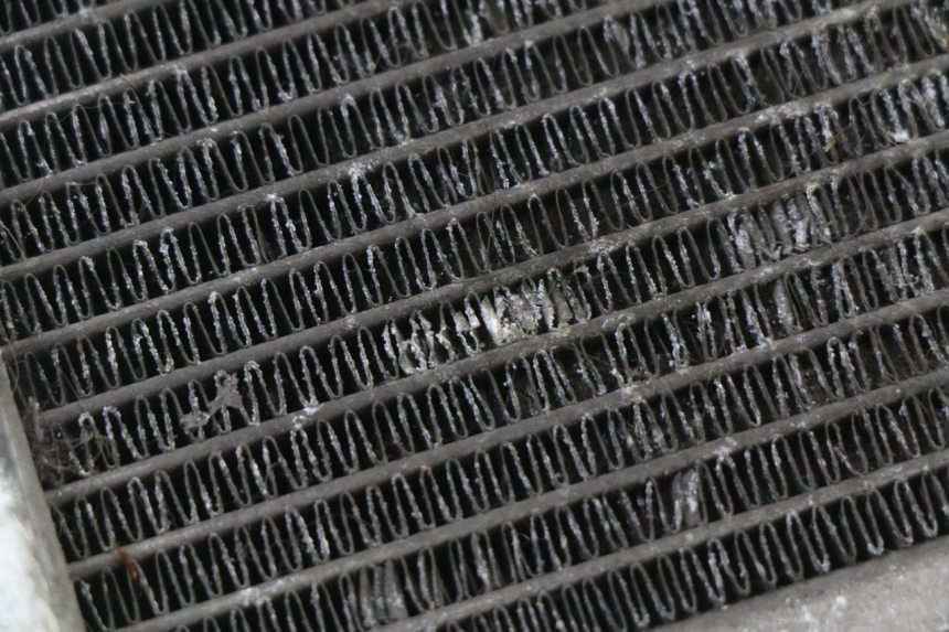 photo de RADIATORE HONDA SH ABS 125 (2012 - 2017) - Stato della superficie e materiale