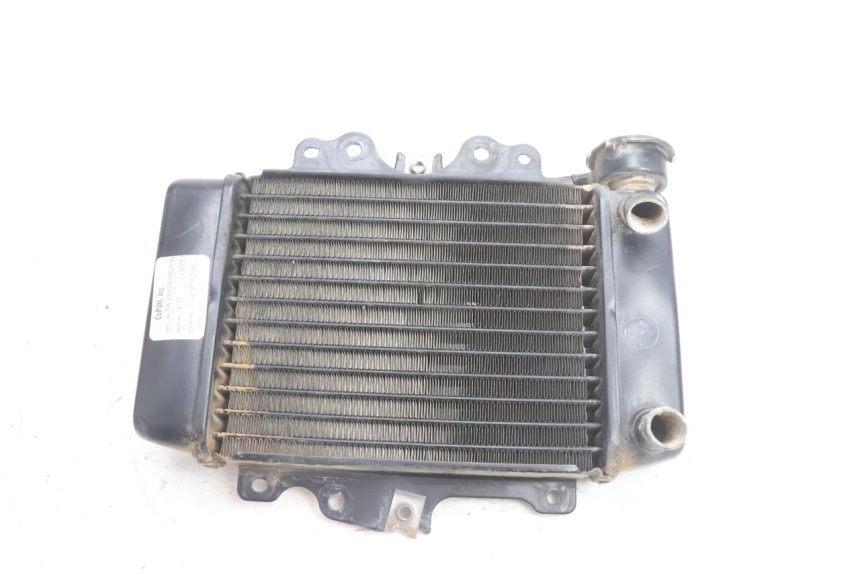 photo de RADIATORE HONDA SH 125 (2001 - 2003) - Vista principale